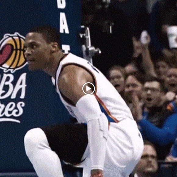 Meet your Posher, Cooper - Picture 1 of 1